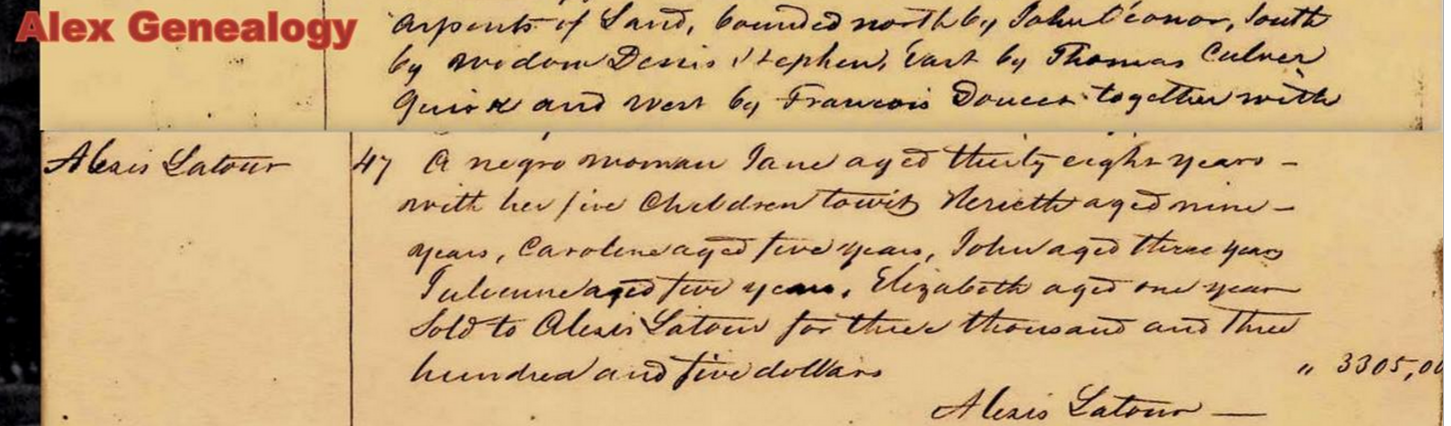 jane rubin and children slave